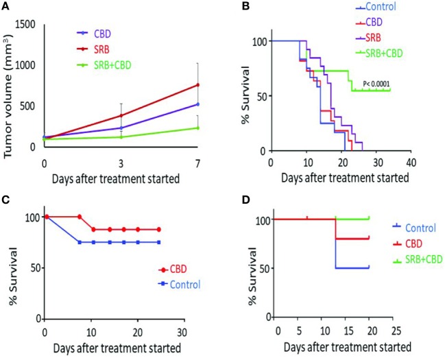 Antitumor effect of cannabinoid (CBD) and smart biomaterial (SRB)-CBD in vivo. (A) Lung tumor volume measurements highlight greater inhibition of tumor growth when using CBD-loaded SRBs compared to direct intratumoral administration (IT injection) and control cohorts: empty SRB. (B) Inhibition of lung tumor growth when using SRBs for sustained delivery of CBD, confirming higher killing effect of sustain release of CBD in the tumors. The Kaplan–Meier survival curve showing survival time (in days) for mice tumors treated with an empty SRB (n = 11), direct CBD (n = 13), CBD-loaded SRB (n = 12), and control cohort (n = 12). (C,D) A pilot study showing increased survival benefit of pancreatic tumor treated with (C) direct IT injection of CBD compared to control and (D) using SRBs for sustained delivery of CBD.