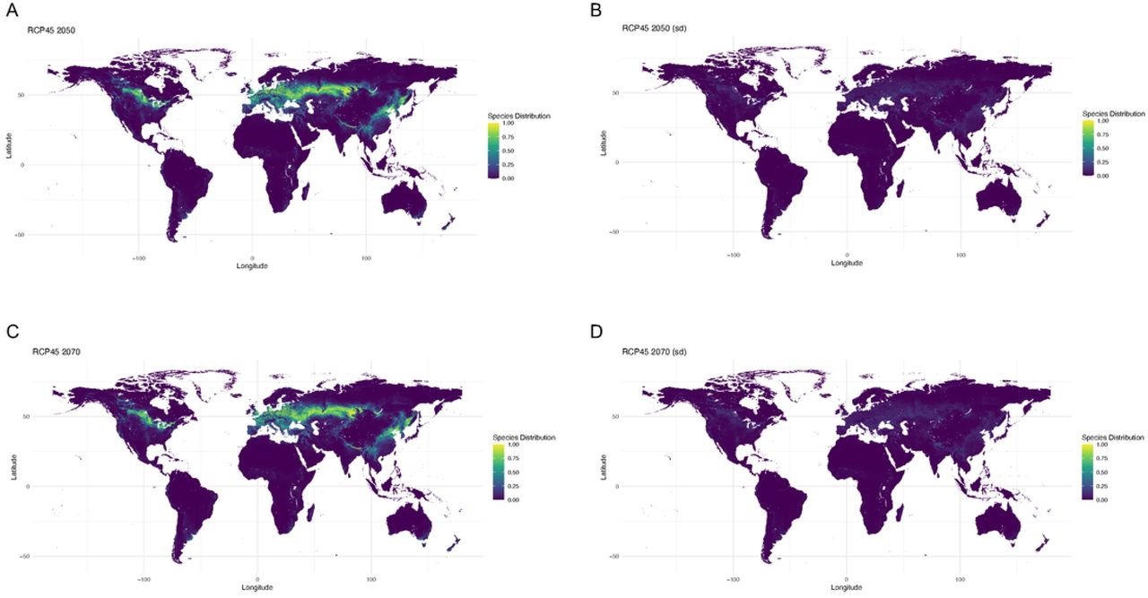 Future climate projections for 2050 and 2070 with model SSP245 (efforts made to curb climate change) (A) Worldwide suitability map for 2050 (B) Standard deviation for the worldwide suitability map for 2050 (C) Worldwide suitability map for 2070 (D) Standard deviation for the worldwide suitability map for 2070.