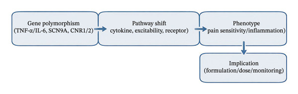 Genomic modifiers influencing pain pathways and potential cannabinoid responsiveness.