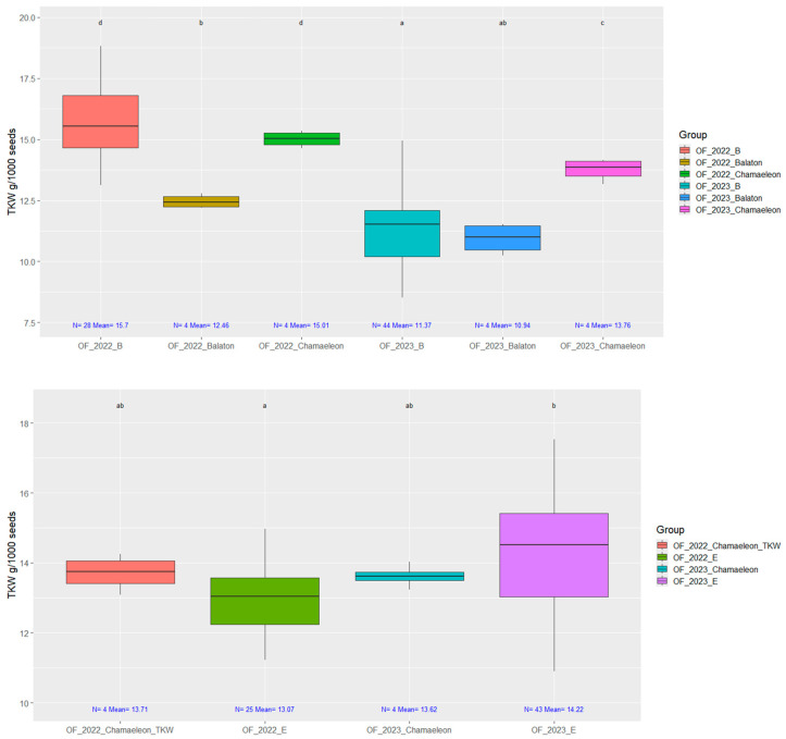 The thousand kernel weight (TKW) of seeds was measured from whole plots in open-field experiments. Data ranges were visualized from open-field trials conducted in 2022 and 2023. In these trials, the two seasons of early ‘B’ selection were compared to the registered varieties Chamaeleon and Balaton. Additionally, the medium-late ‘E’ selection from both years was compared only to Chamaeleon in a separate experiment. On top of each boxplot, groups labeled with the same letter do not significantly differ, Welch’s ANOVA followed by the Games–Howell post hoc test (p = 0.05).