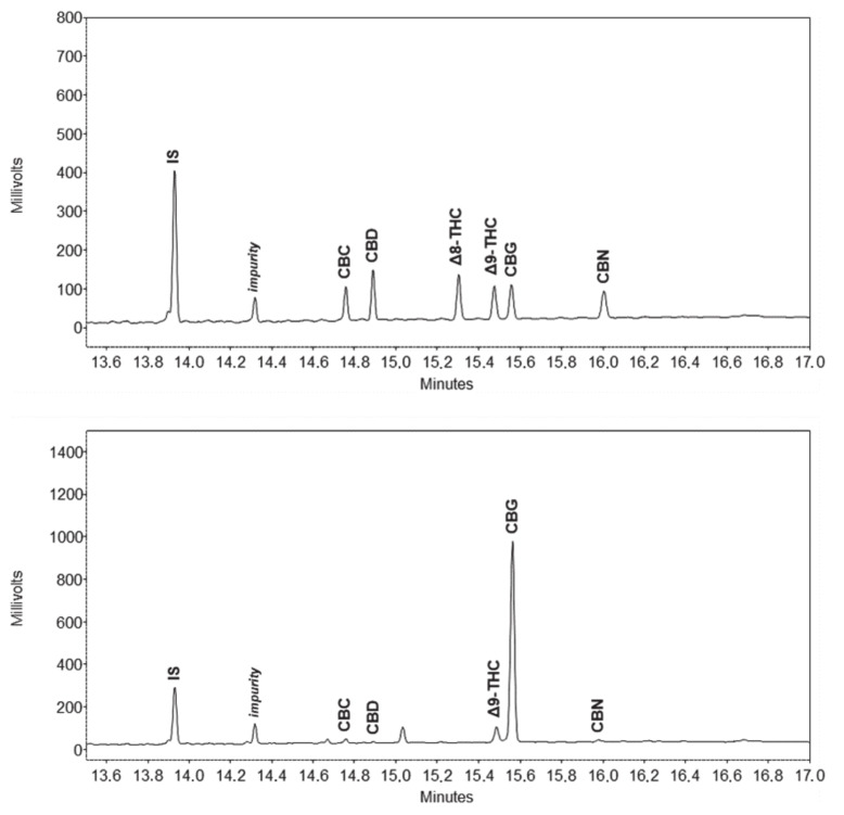 Chromatograms (displayed tR = 13.5–17.0 min) of cannabinoid standard solution (top) and hemp plant (cannabigerol (CBG) chemotype) extract (bottom). Peak labelling: IS—internal standard, CBC—cannabichromene, CBD—cannabidiol, Δ8-THC—Δ8-tetrahydrocannabinol, Δ9-THC—Δ9-tetrahydrocannabinol, CBG—cannabigerol, CBN—cannabinol.