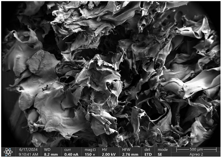 SEM micrograph of the Asp:Glu 0.3:0.7 poly(dopamine) sample.
