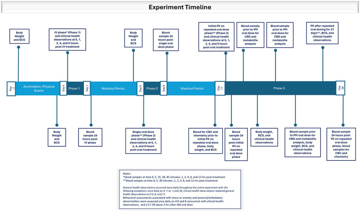 Timeline depicting experimental events during the acclimation period and Phases 1, 2, and 3 in which dogs were dosed with the test article dissolved in ethanol intravenously or orally in a small amount of wet dog food as a single dose or twice daily in an oral dosing regimen.