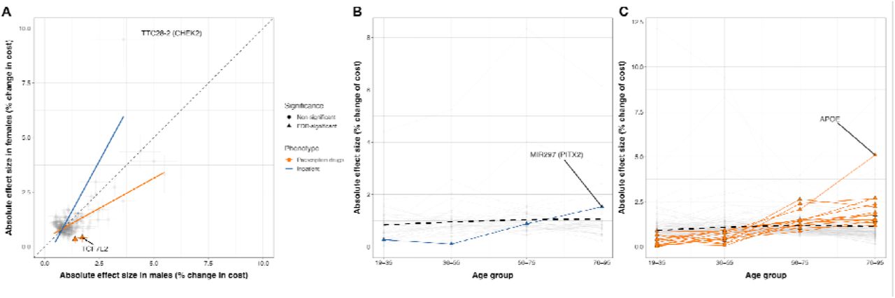 | Heterogeneity of genetic associations by age and sex.(A) Absolute effect sizes of 318 non-HLA sentinel SNPs in males versus females for inpatient and prescription cost phenotypes. Points show the absolute percentage change in annual costs per effect allele; greyed-out circles indicate SNPs with non-FDR significant sex heterogeneity by Cochran’s Q-test, and coloured triangles indicate SNPs that pass FDR correction for sex heterogeneity. (B–C) Absolute effect sizes of the same SNPs across age bins for inpatient (B) and prescription (C) costs. Points again denote the absolute percentage change in costs within each age group, with circles marking SNPs showing non-FDR significant trends and triangles marking SNPs that pass FDR correction for age-related heterogeneity.