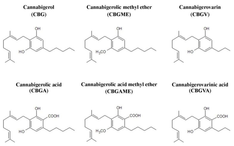 Chemical structures of main compounds from the group of cannabigerol-type phytocannabinoids.