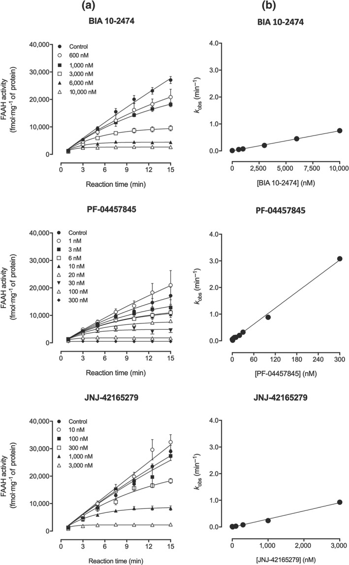 (a) Progression curves of rat brain fatty acid amide hydrolase( FAAH) activity determined in the presence of BIA 10‐2474 (600 nM to 10 μM) or PF‐04457845 (1 to 300 nM) or JNJ‐42165279 (10 nM to 3 μM). (b) From each curve was derived a k obs value that was plotted function of inhibitor concentrations. Results are means ± SEM (n = 4 except for BIA 10‐2474 1 μM, PF‐04457845 10 nM, and controls of these two compounds where n = 8) as obtained from GraphPad Prism 6 for Windows