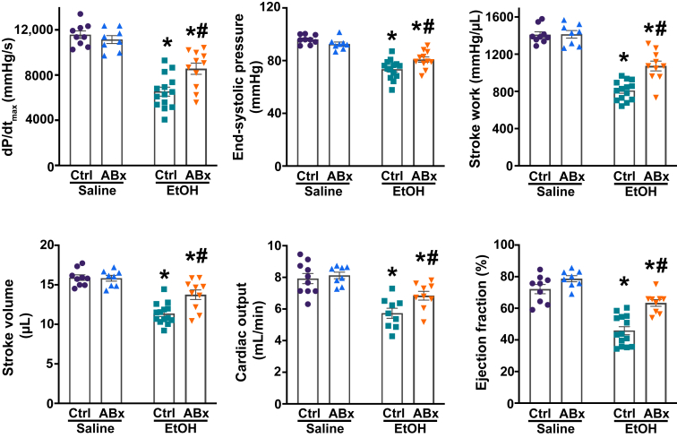 Selective depletion of gut Gram-negative bacteria attenuates binge alcohol-induced adverse cardiac effects. Systolic indexes of left ventricular performance [maximal slope of pressure increment (dP/dtmax), end-systolic pressure, stroke work, stroke volume, cardiac output, and ejection fraction] in mice 3 hours after the administration of saline or alcohol [ethanol (EtOH)], with or without antibiotic pretreatment (ABx or ctrl, respectively). Data are presented as individual values with group means ± SEM. n = 8 to 14. ∗P < 0.05 versus corresponding saline group; #P < 0.05 versus ctrl ethanol group (two-way analysis of variance, Bonferroni multiple comparison test).