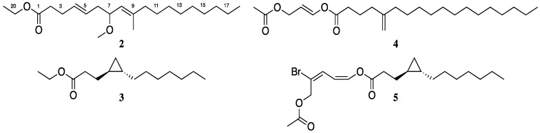 Structures of compounds 2–5 from 5-HT2C active fraction.