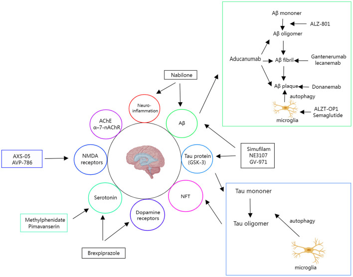 Various therapeutic targets in AD and candidates entering late-stage investigations.