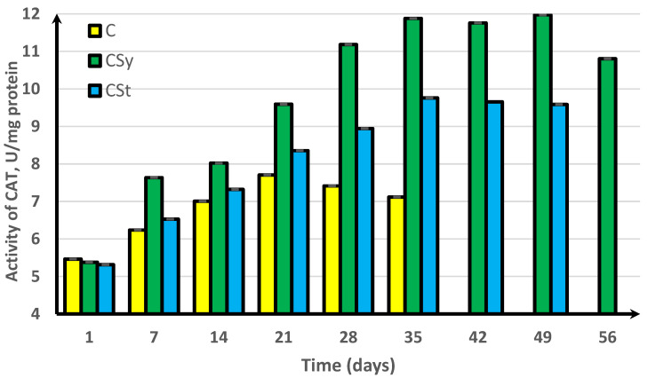 Catalase (CAT) activities in workers’ hemolymph along with the aging processes, after using two methods of supplementation with hemp extract. C, control (pure sugar syrup); CSy, hemp extract in syrup; CSt, hemp extract on strips (two-way ANOVA: days of supplementation: F(5,1078) = 25,133, p = 0.0000, se ± 0.010013 (1st–35th days), se ± 0.017343 (42nd day and 56th day), se ± 0.012263 (49th day); supplementation method: se ± 0.00708 (C), se ± 0.00578 (CSy), and se ± 0.00656 (CSt); supplementation method × days of supplementation F(11,1078) = 2701.1, p = 0.0000, and se ± 0.017343). The chart shows statistical averages. The standard deviations for the means in this plot ranged from 0.05238 to 0.21342.