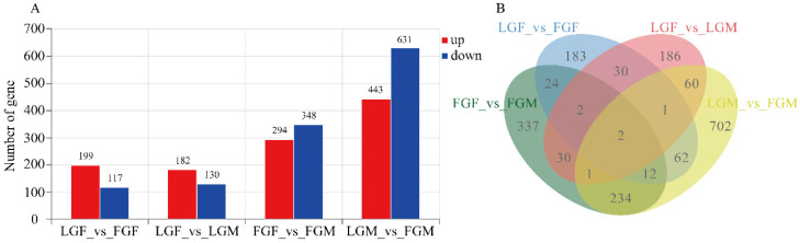 The number of DEGs depicted by (A) a bar chart and (B) a Venn diagram.