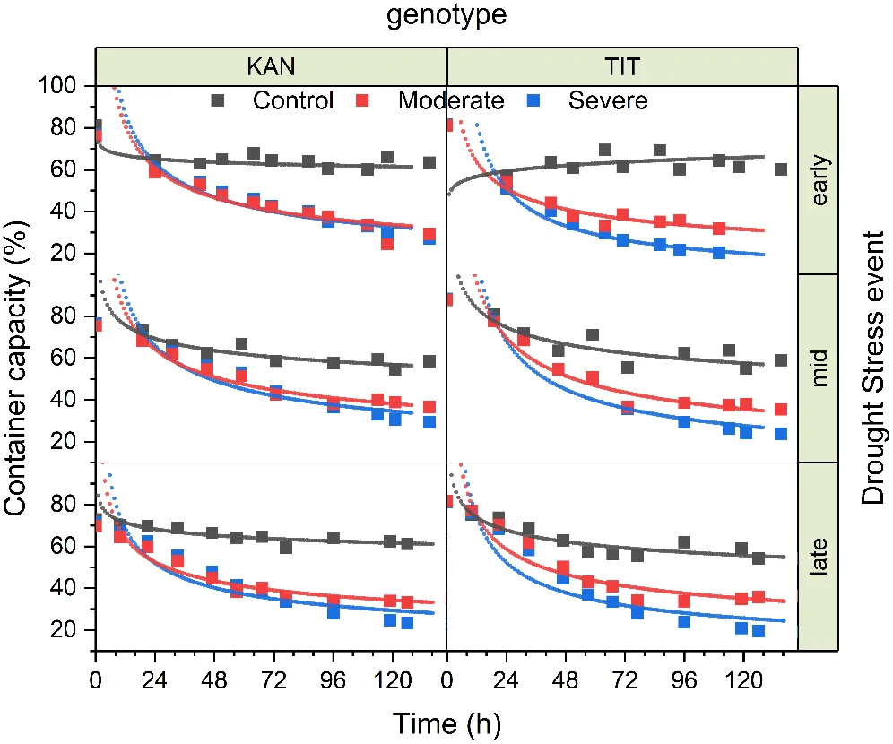Grouped scatter plot with fitted curves showing container capacity percentage over time for genotypes KAN and TIT under control, moderate, and severe drought stress, separated by early, mid, and late drought events, illustrating lower container capacity with increasing drought severity and consistent genotype trends across events.