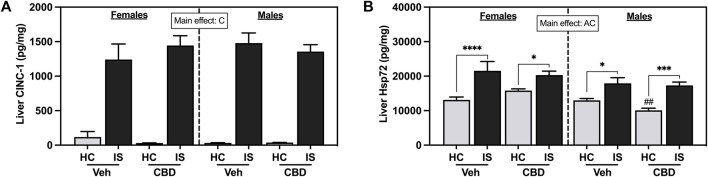 Liver concentrations of (A) CINC-1 and (B) Hsp72. Females are graphed to the left of the dashed line; males are graphed to the right of the dashed line. Data are presented as mean ± SEM; Symbols: A p < 0.05 (main effect of sex); C p < 0.05 (main effect of IS); ## p < 0.01 (Fisher’s LSD post hoc effect of sex); *p < 0.05, ***p < 0.001, ****p < 0.0001 (Fisher’s LSD post hoc effect of IS). Vehicle group = Veh, Cannabidiol-rich hemp extract group = CBD, unstressed home cage controls = HC, inescapable tail shock = IS.