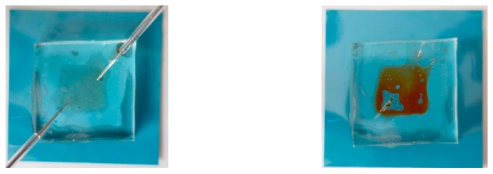 A view of the test microfluidic deice, before (left) and after (right) filling with methyl orange. An irregular bonding area can be observed, although the structure was hermetic.