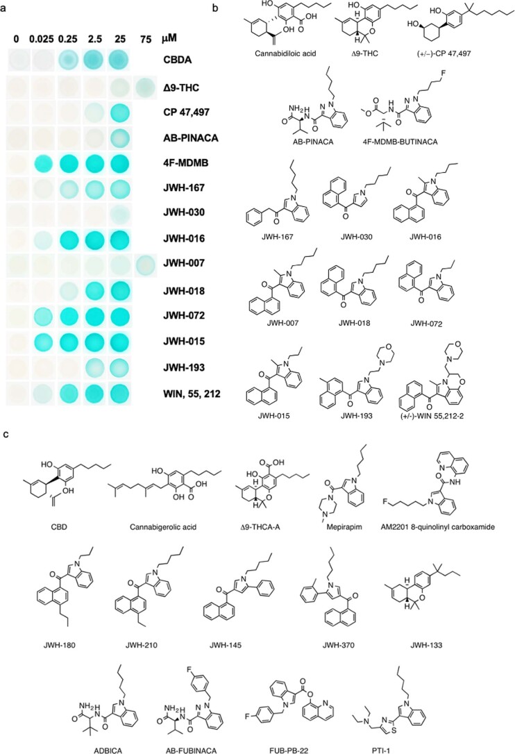 Chemical diversity of natural and synthetic cannabinoids sensed by engineered PYR1 sensors.(a) Y2H data of sensor hits; each row shows the response of an evolved PYR1 sensor to its target ligand; the sequences of the sensors used are shown in supporting data file 1. (b) Chemical structures of compounds for which at least one PYR1-based biosensor was identified. (c) Chemical structures of compounds for which no PYR1-based biosensor was identified.