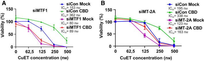 Concomitant gene silencing with cannabidiol (CBD) treatment and role of metallothionein MT‐2A in response to bis‐diethyldithiocarbamate‐copper complex (CuET) analyzed by XTT assay (A) CBD pretreatment does not protect MTF1‐silenced cells from CuET toxicity. Cells were pretreated with 10 μm CBD for 17 h and treated with 10 μm CBD and increasing concentration of CuET for 72 h. The result represents the mean and standard deviation of three independent experiments (n = 3). (B) MT‐2A‐silenced cells are sensitized to CuET treatment. CBD pretreatment protects MT‐2A‐silenced cells from CuET toxicity only partially. Cells were pretreated with 10 μm CBD for 17 h and treated with 10 μm CBD and increasing concentration of CuET for 72 h. The result represents the mean and standard deviation of three independent experiments (n = 3).