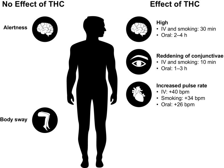 Variability in effects of Δ9-tetrahydrocannabinol on pharmacodynamics by route of administration in healthy individuals [30, 37, 39]. bpm beats per minute, IV intravenous, THC delta(Δ)9-tetrahydrocannabinol
