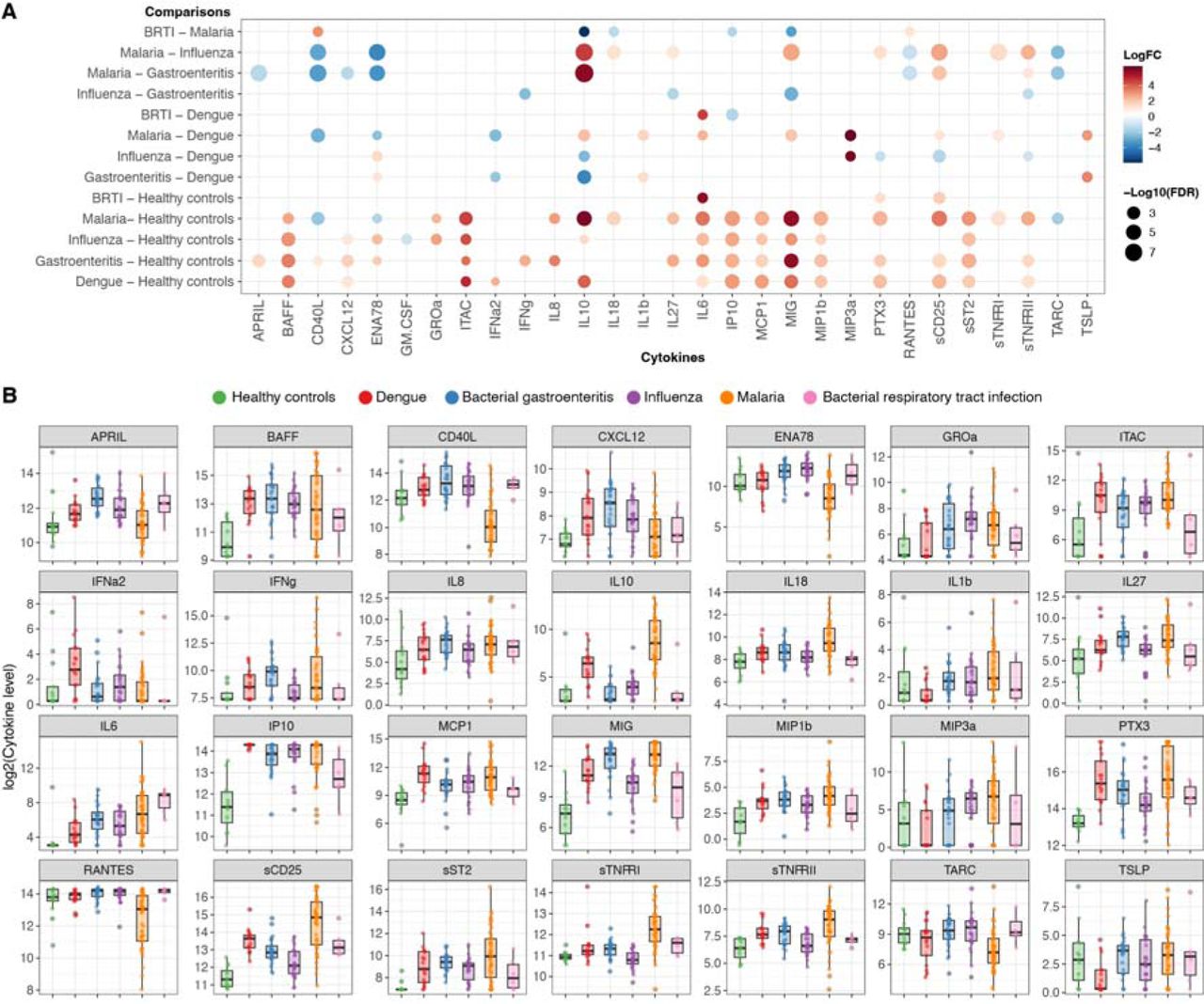 Comparison of inflammatory proteins between disease groups.(A) Log-transformed levels (pg/mL) of inflammation-associated proteins were compared between all groups and significant differences, as determined by the FDR-adjusted Mann-Whitney tests, are shown as dots where the size of the dot indicates the p-value and the color indicates a positive (red) or negative (blue) fold-change between the compared groups. BRTI refers to bacterial respiratory tract infection. (B) Log-transformed cytokine levels are shown for individual donors in each group. Box plots indicate median and interquartile range.