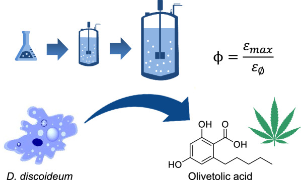 Scale-up strategy for olivetolic acid production with the amoeba Dictyostelium discoideum