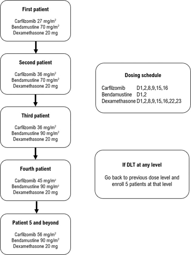 Trial schema for this phase I/II study assessing carfilzomib, bendamustine, and dexamethasone in newly diagnosed myeloma patients.