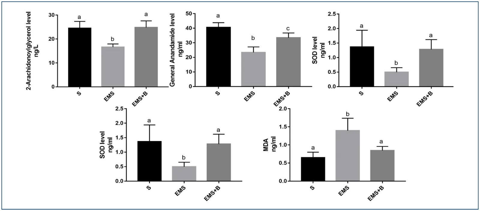 Effects of bromelain treatment on serum endocannabinoid and oxidative stress markers in experimental endometriosis. Groups sharing the same letter are not significantly different, whereas groups with different letters differ significantly according to Tukey's post-hoc test following one-way ANOVA (p<0.05).