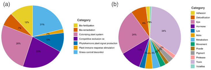 Functional classification of plant–microorganism interaction traits predicted for Bacillus siamensis BACIII using the PLabASE platform. (a) Distribution of plant growth-promoting traits based on PGPT-Pred. (b) Functional categorization based on PIFAR-Pred. Values are expressed as relative percentages.