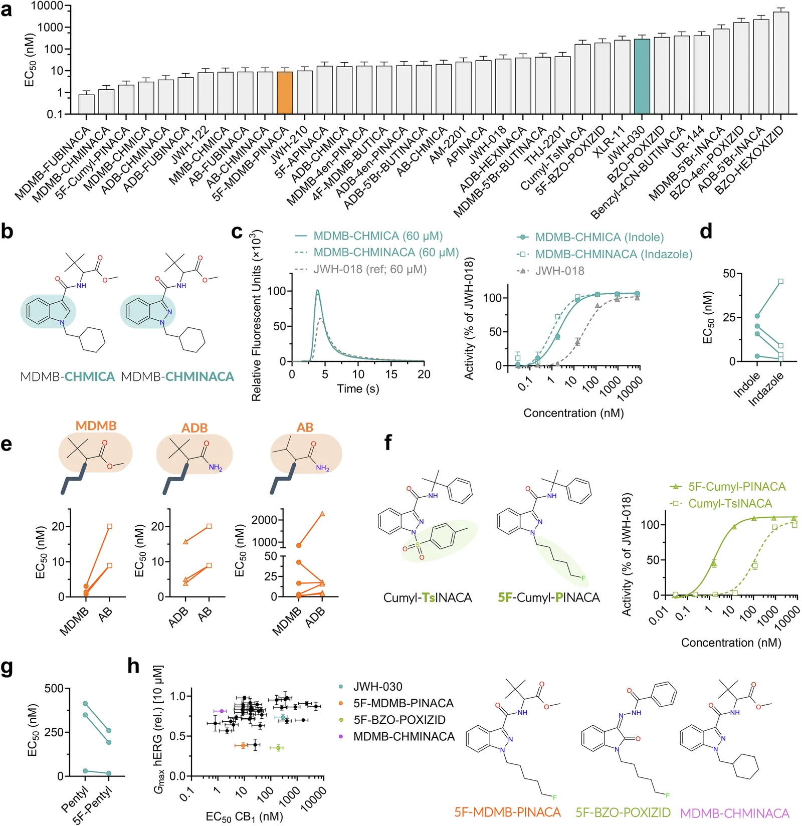 Comparison of SCRA features important for CB1 and hERG effects reveal similarities and differences.a Potency of the indicated SCRAs on CB1 (see methods for details). n ≥ 3 (except from JWH-030 where n = 2). (b-c) Example of impact of core moiety for CB1 activation showcased by MDMB-CHMICA and MDMB-CHMINACA (n = 3; structures in (b) and CB1 activating effects in (c). d Outcome of SAR analysis (paired t-test, α = 0.05) of SCRAs with indole and indazole cores (n = 4) for CB1 potency. e Schematic illustration of SCRAs with indicated heads, together with the outcome of SAR analysis (paired t-test, α = 0.05; n = 3, 3, and 5, respectively) for CB1 potency. f Molecular structures of two SCRAs with Cumyl-INACA scaffolds and variable tails, and concentration-response relationships for indicated SCRAs on CB1 activity (n = 4 for 5F-Cumyl-PINACA and n = 5 for Cumyl-TsINACA). g Outcome of SAR analysis of SCRAs with non-fluorinated compared with fluorinated pentyl tails for CB1 potency. h Comparison of Gmax response of hERG induced by SCRAs at 10 µM (y-axis) and CB1 potency (x-axis). Specific SCRAs are highlighted as indicated in the figure. All average data are shown as mean ± SEM. Small error bars are covered by symbols. CB1 data are from a minimum of three independent experiments (n ≥ 3), run in triplicate (except for JWH-030, for which n = 2). nfor hERG = 3-13. Best-fit parameters are provided in SI Table II.