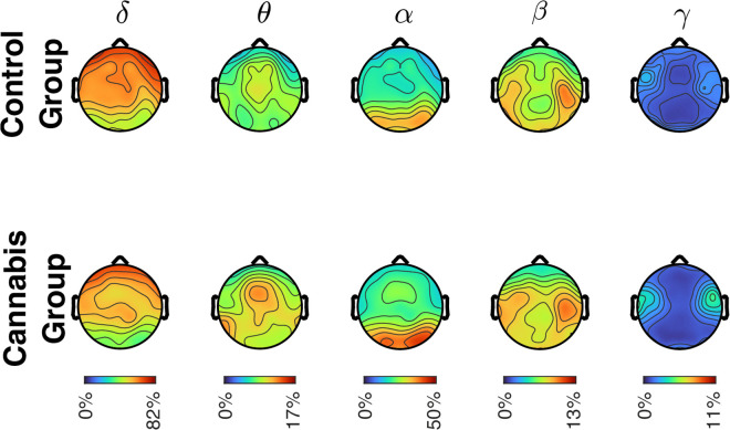Scalp map depicting relative spectral power for each frequency band for the control and cannabis groups.There were no significant differences between the groups for any frequency band. Colors represent high (red) or low (blue) spectral power.