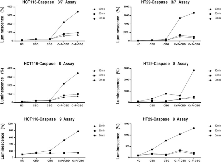 Caspase 3/7, Caspase 8 and Caspase 9 activation detected by Casepase-Glo 3/7, Caspase 8, and Caspase 9 luminescence assay for 0 min, 60 min and 90 min in HCT116 and HT29 cells that received the indicated treatments CBD (Cannabigerol), CBG (Cannabigerol), C + P + CBD (Combination of curcumin piperine CBD), C + P + CBG (combination of curcumin piperine CBG) for 72 h.