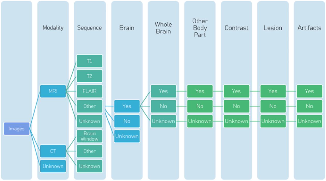 Criteria used by the annotators to label the test imaging set using the GUI developed.