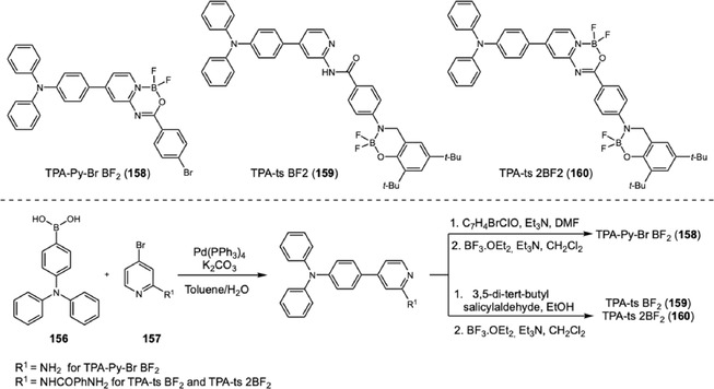 Suzuki coupling for the construction of TPA‐difluoroboron probes.