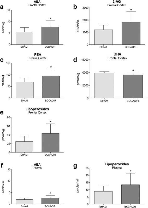 Endocannabinoids and fatty acid profile in frontal cortex and plasma. High performance liquid chromatography (HPLC) analysis of frontal cortex (a−f) and plasma (g, h) of sham-operated and bilateral common carotid artery occlusion followed by reperfusion (BCCAO/R) rats. N-arachidonoyl-ethanolamide (AEA) (a, e), 2-arachidonoyl-glycerol (2-AG) (b), palmitoylethanolamide (PEA) (c), docosahexaenoic acid (DHA) (e) and lipoperoxides (f, h) concentrations are reported as mean values of 12 sham-operated and 12 BCCAO/R rats. Error bars depict S.D.. Unpaired Student’s t test: *p < 0.05