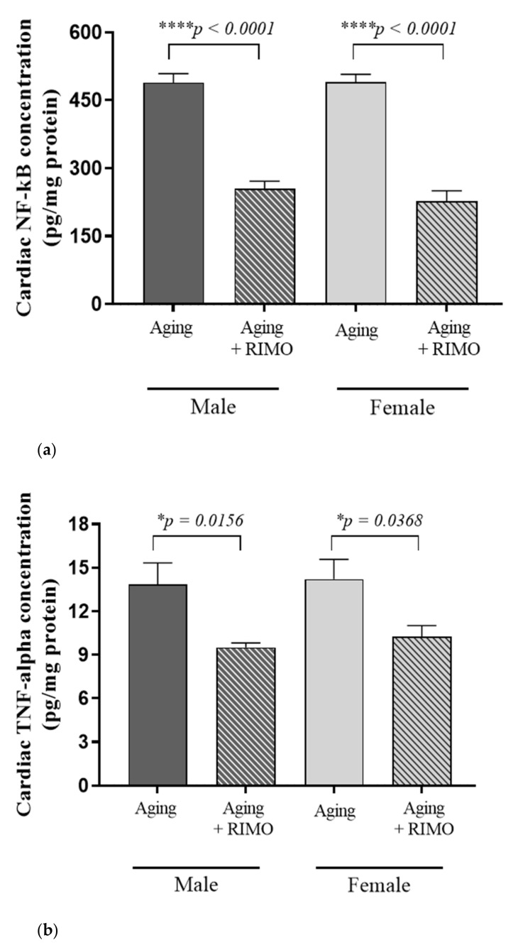(a) The effects of rimonabant treatment on cardiac NF-κB concentration in aged animals. (NF-κB; expressed as pg/mg protein). Results are shown as means ± S.E.M. n = 6–8. **** p < 0.0001: Statistical significance between rimonabant-treated and untreated, sex-matched aging rats. RIMO = rimonabant, NF-κB = nuclear factor-kappa B. (b) The effects of rimonabant treatment on cardiac TNF-alpha concentration in aged animals. (TNF-α; expressed as pg/mg protein). Results are shown as means ± S.E.M. n = 5–9. * p < 0.05: Statistical significance between rimonabant-treated and untreated, sex-matched aging rats. RIMO = rimonabant, TNF-α = tumor necrosis factor-alpha.