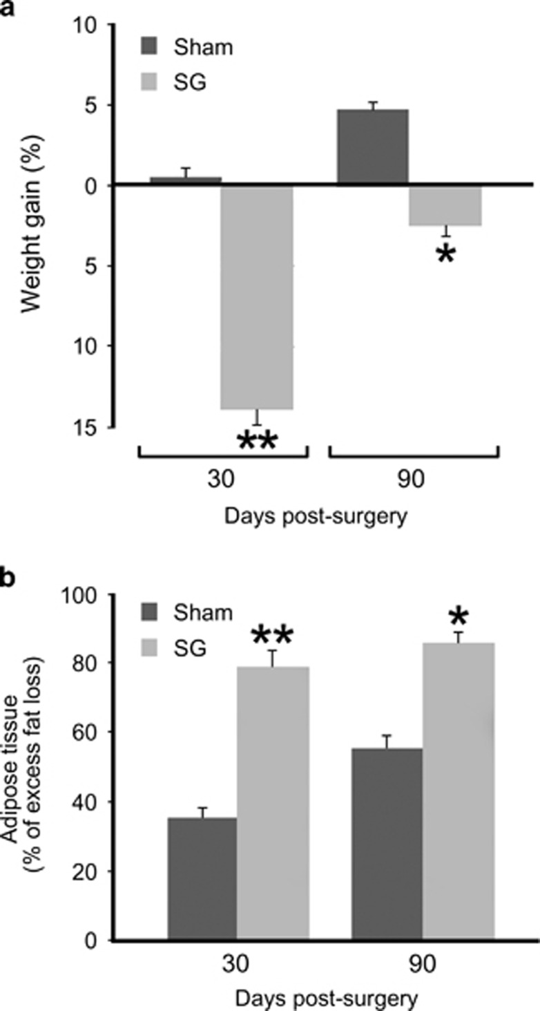 Body weight and fat mass reductions following sleeve gastrectomy (SG). (a) The plot shows gains in body weight at 30 or 90 days after the operations (sham or SG), and the concomitant switch from HFD to normal diet. The weight differences are expressed as a percentage of the change from the respective obese weight, at the time of surgery for each animal group, (x axis). (b) The loss in adipose tissue of the killed animals is expressed as a percentage of the excess fat mass gained during the period of HFD for each group: SG animals lost >80% of the fat mass they gained during HFD, whereas in the sham-operation group the loss of excess fat mass was only 50%. *P< 0.05 and **P< 0.01, asterisks indicate significant differences of body weight between sham- and SG-operated animals in (a) and adipose tissue in (b) at 30 & 90 days post surgery. n=4–6 animals per group.