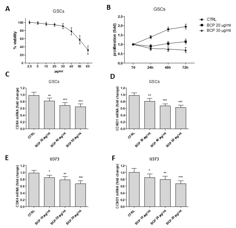 Dose response curve of cell viability assessed in GSCs treated with BCP (panel A). Values are expressed as percentage of reduction of viability with respect to the untreated control. Cell proliferation evaluation at T0, 24, 48 and 72 h in GSCs treated with BCP (panel B). Values are expressed as fold change of viability with respect to the untreated control at T0. Evaluation of CDK4 an CCND1 mRNA in GSCs and U373 cells treated with BCP at different doses (panels C–F). Data are calculated according to the 2−ΔΔCt method as fold change relative to normal controls and expressed as means ± SD. * p < 0.05, ** p < 0.01, *** p < 0.001, vs. the control.