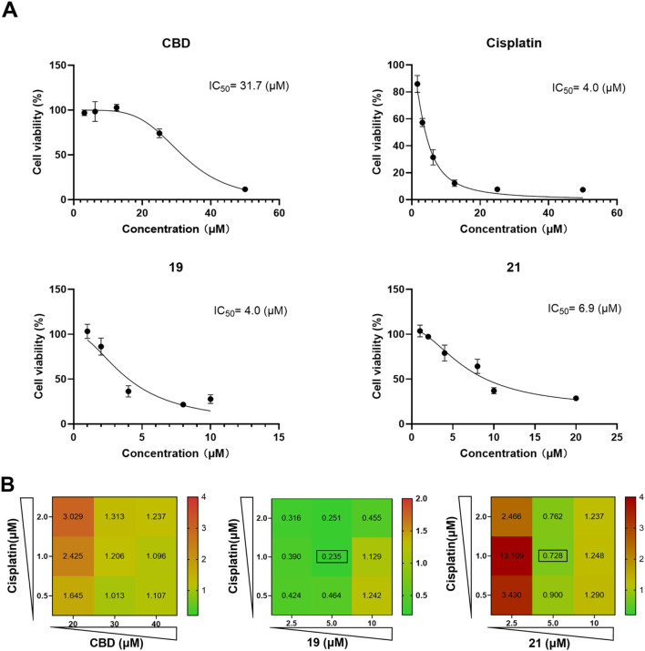 The antiproliferative effects of cisplatin, CBD, 19 and 21 against the growth of ovarian cancer Caov-3 cells and their synergistic effects. The antiproliferative IC50 of cisplatin, CBD, and compounds 19 and 21 for a treatment period of 48 h (A). The combination index of CBD, 19, 21 with cisplatin in various concentrations (B).