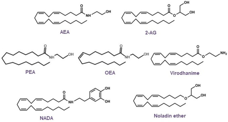 Chemical structures of the main endocannabinoids.