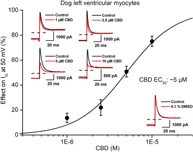 Effect of CBD on the transient outward potassium current (Ito) in dog ventricular myocytes. The panel displays CBD concentration–response curve indicating an estimated EC50 value of 5 µM for Ito blockade. Insets show original Ito current traces in control conditions and in the presence of 1 µM, 2.5 µM, 5 µM and 10 µM CBD recorded from dog left ventricular myocytes after a 300 ms long pulse to 50 mV test potential with pulsing cycle length of 3 s. The inset on right-bottom displays original Ito current traces in control conditions and in the presence of the solvent (0.1% DMSO). Dashed lines indicate zero current levels. Data are expressed as means ± SEM