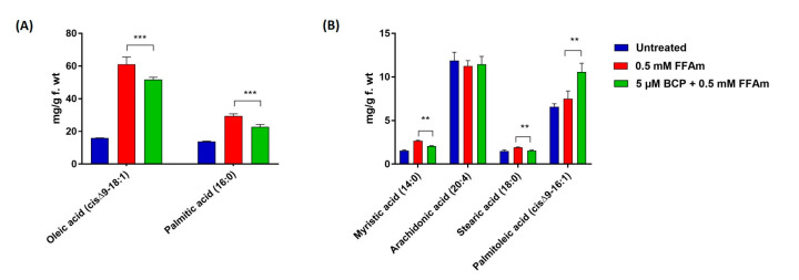 FFA composition of HepG2 cells after incubation for 24 h with 0.5 mM FFAm with or without BCP. Six fatty acids were identified and quantified. (A) BCP reduces the amount of oleic acid (cis-Δ9-C18:1) and palmitic acid (C:16) of steatotic cells. (B) BCP treatment significantly reduces the content of myristic acid (C14:0) and stearic acid (C18:0), while it increases palmitoleic acid (cis-Δ9-C16:1), in comparison to steatotic control cells. Data are represented as the mean ± SEM of three independent experiments and the values are expressed as mg g−1 fresh weight (f.wt). ** p < 0.01; *** p < 0.001 vs. positive control (0.5 mM FFAm-treated cells).