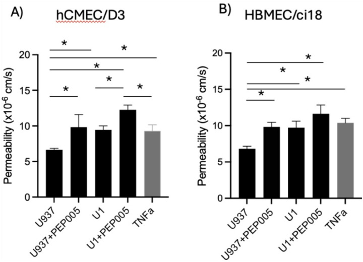 Effects of latent HIV conditioned media on BBB permeability.The endothelial cell lines hCMEC/D3 and HBMEC/ci18 were assembled with pericytes and astrocytes to test the effect of conditioned media from U937 (control) or U1 (latent) promonocytes, alone or after incubation with PEP005 10 nM, or media containing recombinant TNFa 10ng/ml as a positive control, on the permeability to Cascade Blue-labeled 10 kDa dextran particles. Data are expressed as mean of values obtained from at least 3 independent experiments ± SEM. *p<0.05 on indicated comparisons.
