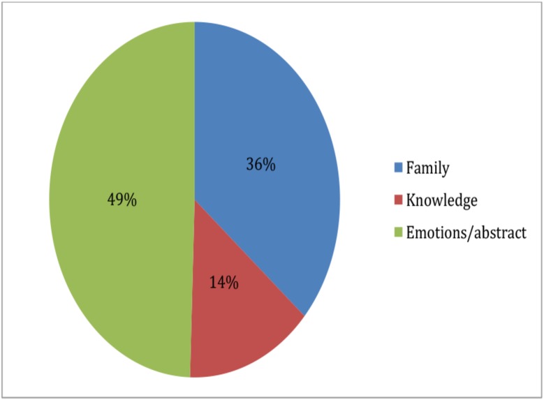 Pie chart representing relative frequency at which Lebanese rural youth (aged 7–16) narrated photographs of nature using different theme topics (n = 69).