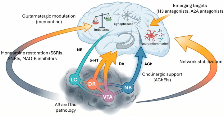Systems-level distribution of neuromodulatory nuclei and their projections (locus coeruleus (LC; noradrenergic), dorsal raphe (DR; serotonergic), ventral tegmental area (VTA; dopaminergic), and nucleus basalis (NB; cholinergic)) converging on cortical and hippocampal circuits. AD progression reflects not a single transmitter deficit but interacting breakdowns in excitatory/inhibitory balance, synaptic integrity, and glia-mediated inflammatory signaling, which reciprocally reinforce Aβ/tau pathology and circuit dysfunction. Biomarker-guided, multimodal interventions targeting multiple nodes of neurotransmitter imbalance rather than monotherapy approaches are supportive. ACh: acetylcholine; AChEIs: acetylcholinesterase inhibitors; 5-HT: serotonin; DA: dopamine; NE: norepinephrine; Aβ: β-amyloid; Glu: glutamate; GABA: γ-amino-butyric acid; SSRIs: Selective serotonin reuptake inhibitors; SNRIs: selective noradrenaline reuptake inhibitors; MAO-B: monoamine oxidase B.