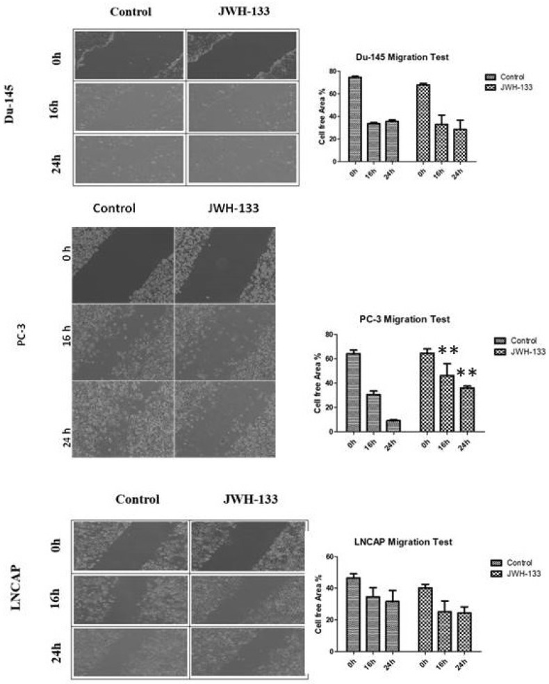 Wound-healing assay results of prostate cancer cells. Graph showing migration for both control and dose groups. Control and dose images at 0 h, 16 h, and 24 h were given. Data were presented as mean ± SD. n = 3, ** p < 0.01.