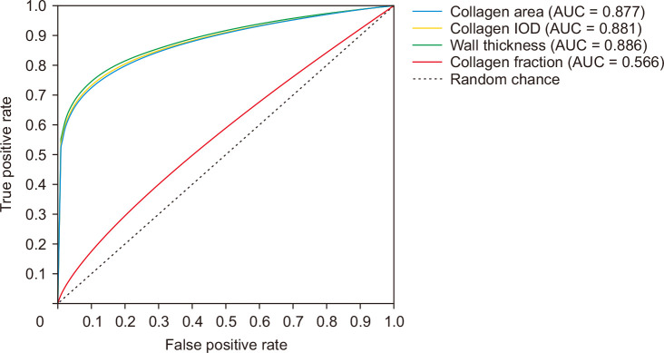 Receiver operating characteristic (ROC) curve analysis of histologic markers. ROC curves illustrate the diagnostic performance of common bile duct wall thickness (AUC = 0.886), collagen integrated optical density (AUC = 0.881), and absolute collagen area (AUC = 0.877) in differentiating preoperatively drained ducts from non-drained controls. These high AUC values indicate that short-term plastic stenting induces a highly consistent and quantifiable fibrotic signature. IOD, integrated optical density; AUC, area under the curve.