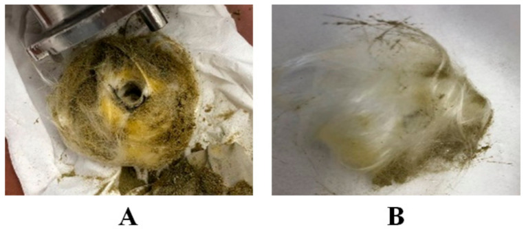 Schematic representation of glass wool after experimental setup A (A) and SFE Nottingham unit extraction (B).