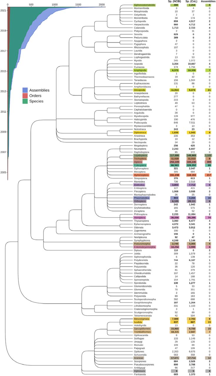 Available genome assembly resources across the arthropod phylogeny.The Arthropoda phylogeny from the United States National Center for Biotechnology Information (NCBI) Taxonomy database shows the evolutionary relationships amongst 114 orders. Counts of described species (Sp.) within each order are shown from the NCBI (v.2021-06-11) and the Catalogue of Life (CoL, v.2021-06-10), alongside numbers of genome assemblies available from the NCBI Assembly database (accessed on 2021-08-25). Of the 114 orders recognised by both the NCBI and the CoL, 48 orders are represented by at least one genome assembly. The 21 orders with five or more assemblies are highlighted with distinct colours, which are maintained for cross-referencing in Figures 2, 3, and 4. The inset shows the accumulation of assemblies, species, and orders submitted to the NCBI since 2005 (note that in the case of assembly updates only the latest submission dates are considered).