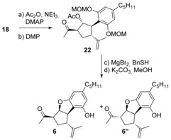 a) Ac2O, Et3N, DMAP, CH2Cl2, −30 °C, 1 h, 50 % (56 % brsm); b) DMP, NaHCO3, CH2Cl2, 25 °C, 1 h, 73 %; c) MgBr2, BnSH, Et2O, 25 °C, 24 h, 82 %; d) K2CO3, MeOH, 25 °C, 15 min, 60 % (6) and 19 % (6′′).