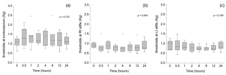 Mechanical nociceptive thresholds measured using an algometer at the lumbosacral joint area (a), the medial aspect of the right stifle joint (b), and the medial aspect of the left stifle joint (c) in seven cats at baseline (0 h) and 30 min, 1, 2, 4, 8, 12, and 24 h after administration of 8 mg/kg CBD. The horizontal line within each box represents the median. Box limits indicate the 25th and 75th percentiles, and whiskers extend to the minimum and maximum values within 1.5 times the interquartile range (IQR). Data points beyond this range are considered outliers and are displayed as individual markers.