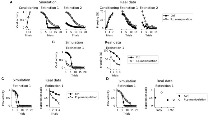 Effects of the IL and PL manipulation on extinction. (A) The inactivation of ILp does not influence conditioning and the model shows extinction during the first session, as observed by Quirk et al. (2000). On the other hand, the model shows that the absence of a functioning IL causes a deficit in between-session extinction, as shown in Quirk et al. (2000). (B) Conversely, when the IL is stimulated extinction is faster, in accordance with data presented by Vidal-Gonzalez et al. (2006). (C) The connection between the PL and IL controls the speed of fear extinction, as demonstrated in real data from Marek et al. (2018). In particular, if PLp-ILp connections are stimulated then fear extinction occurs earlier. (D) Instead, if PLp-ILp connections are inactivated then extinction takes longer.
