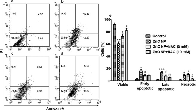 Determination of induction of apoptosis in hemocytes by flow cytometric analysis using Annexin V-PI staining following ZnO NP exposure. (a–d) are the representatives of experimental results of one group. Control (a), exposed to ZnO NP (b), treated with ZnO NPs + 5 mM N-acetyl-L-cysteine (NAC) (c) and treated with ZnO NPs + 10 mM N-acetyl-L-cysteine (NAC) (d). The graph (e) represents the results of the whole experiment (3 replicates), the statistical analysis of which was done by One-way ANOVA test, followed by Tukey’s multiple comparison test. The results in control and vehicle-treated larvae were similar (data not given). *P < 0.05, **P < 0.01, ***P < 0.001 versus control. #P < 0.05, ##P < 0.01 versus 24 hour group. $P < 0.05 versus ZnO NPs + 5 mM (NAC).